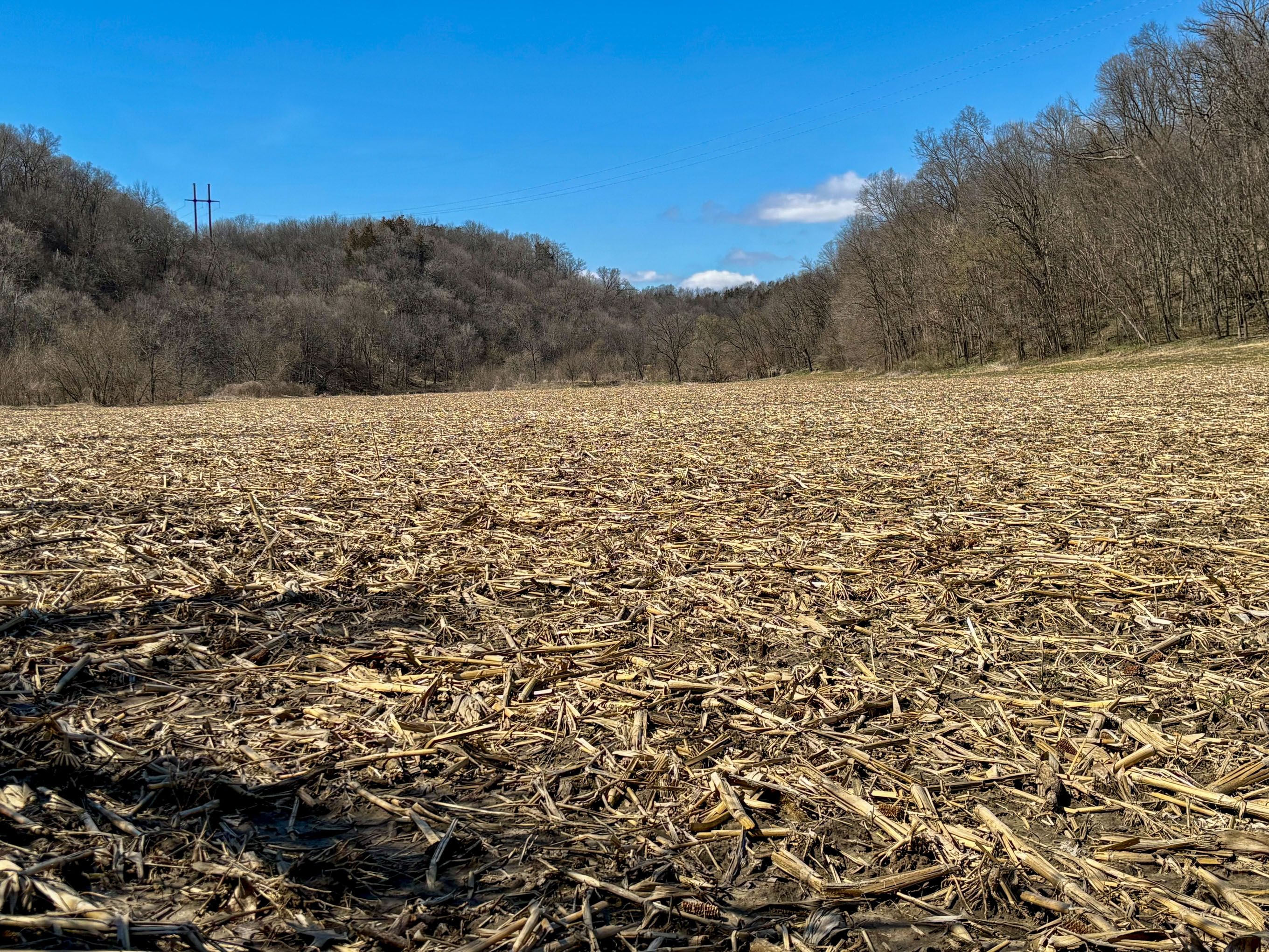 Listing Photo: Photo Apr 06 2026, 2 37 33 PM